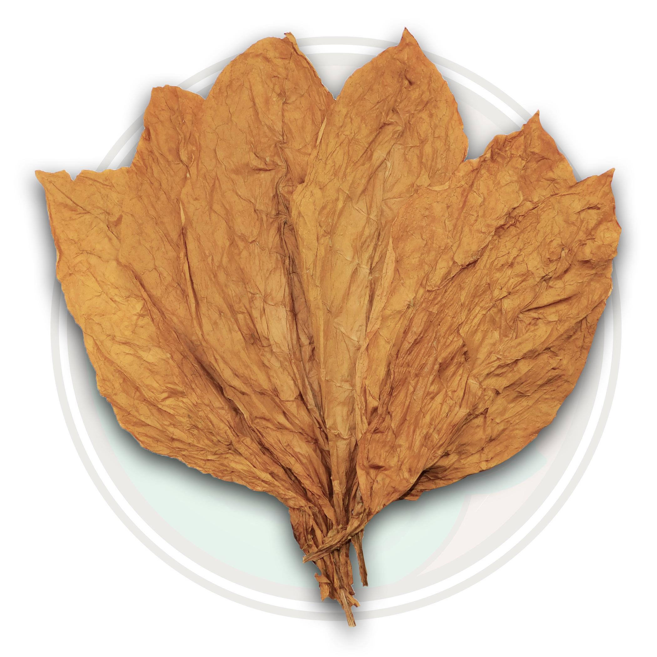 Ecuadorian Grown Connecticut Shade Cigar Wrapper Whole Leaf Tobacco
